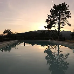 Il Pino Italy